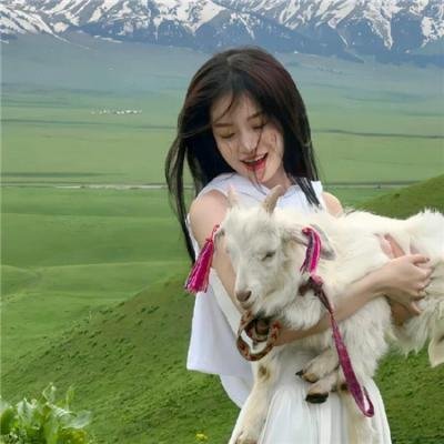人形师 排行封面