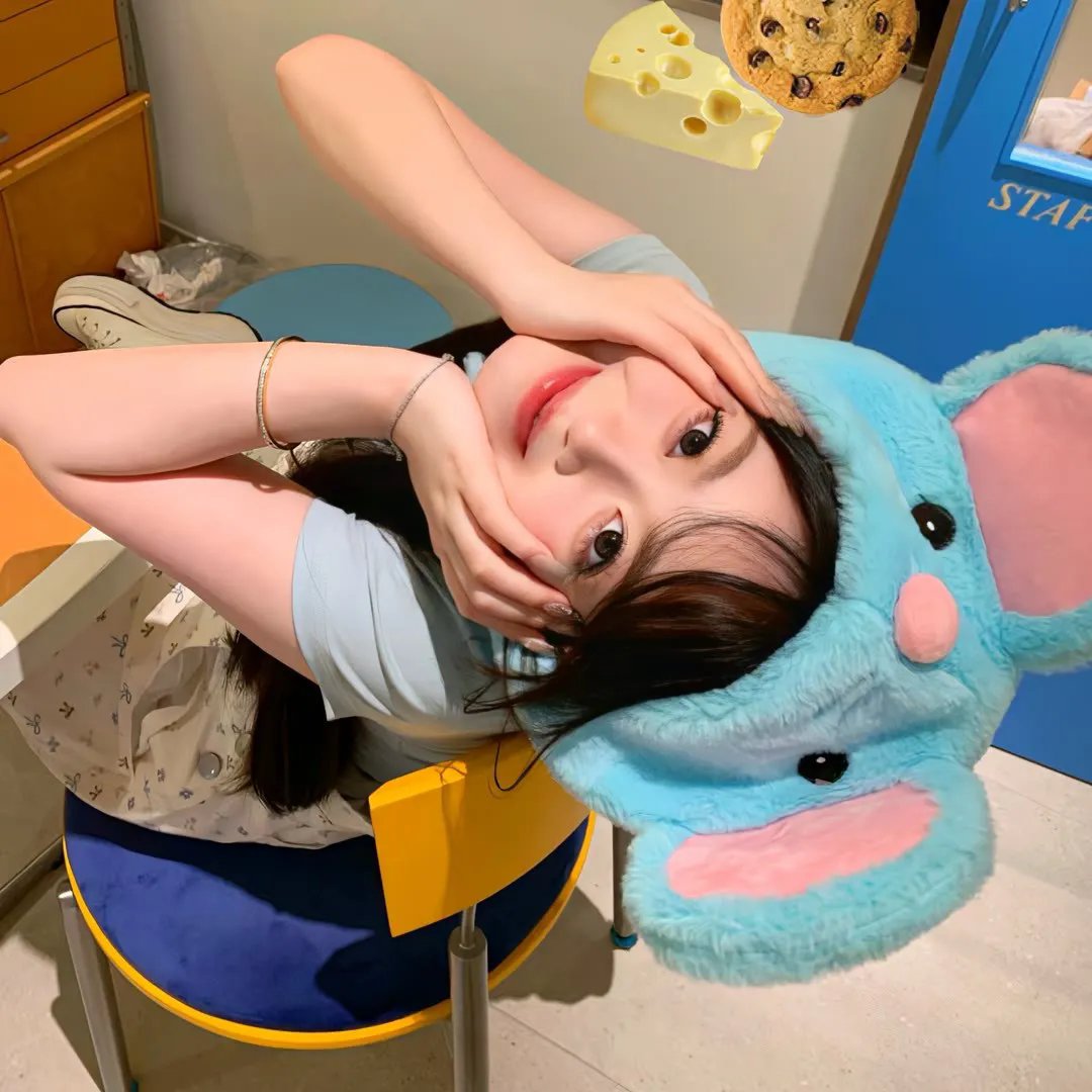 世界街头女斗士3 在线观看封面