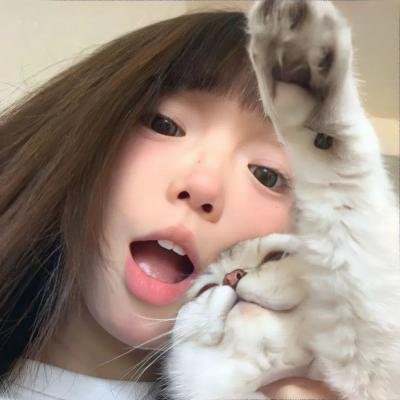 招积老虎 首屏封面